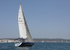 190629 FIREFLY GBR8078R D43A4470