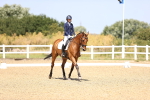 SBM_010512