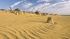 Pinnacles 7