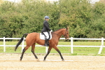 SBM_003586