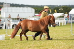 DSC04542