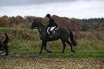 WJ6_9305