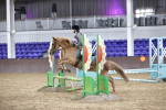 SBM_003955
