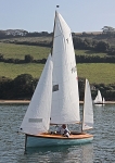 090927 WILLOW IMG_9246