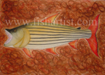 Tigerfish - Zimbabwe.