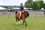 SBM_08560
