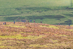 Ennerdale -9