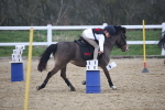 SBM_003947