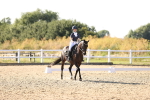 SBM_007648