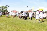 SBM_08303