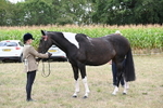 WJ6_5625
