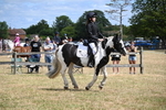 WJ6_5369