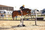 SBM_003261