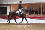 BPP_2431