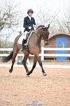 Cls 18 Freestyle Adv Medium Gold portfolio