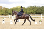 SBM_004932