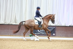 SBM_005189