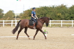 SBM_010213