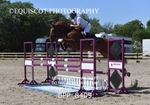 CLASS 7 Senior Foxhunter/ 1.20m Open portfolio