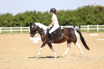 SBM_008595