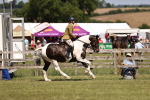SBM_17903