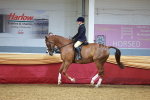 SBM_20163