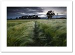 Telegraph Road ♦ CULROSS