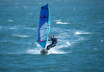 Westward Ho Windsurfers 5/4 portfolio