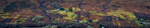 Highland Tapestry