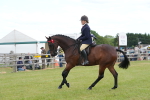 SBM_15944