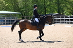 WJ6_9548