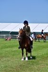 SBM_03790