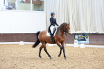 Class 25 - FEI PSG Bronze portfolio