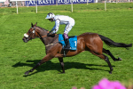 120725-Race 4-Al Qareem-5809