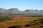 Autumn colours Co Kerry