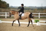 SBM_003098