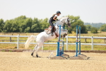 SBM_001993