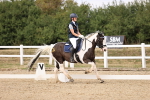 SBM_008854