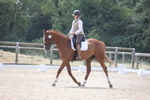 Class 5 - Novice 1 portfolio