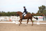 SBM_04782