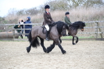 SBM_006318