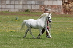 SIAL7858
