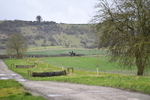 WJ5_4057