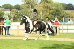 SBM_68822