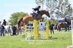 BPP_6077