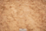 240526A-132046-08332
