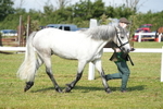 DSC05139