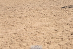 230906A-130828-00430