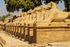 Karnak incl Mut Ptah Khonsu Opet Temples-10