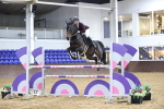 SBM_004443_Class 11 - Senior  Foxhunter - 120m Open